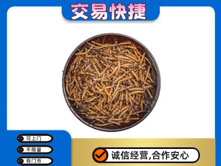 恩施宣恩县回收散虫草